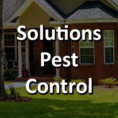 Pest Service, Pest Control