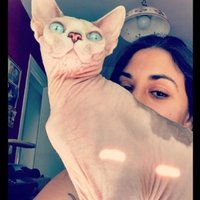Cᴀʀᴍᴇɴ Cᴀʀɴᴇʀᴏ (@carmencarnero) 's Twitter Profile Photo Cᴀʀᴍᴇɴ Cᴀʀɴᴇʀᴏ (@carmencarnero) 's Twitter Profile Photo