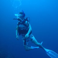 Chris Sergeant (@underwaterworid) 's Twitter Profile Photo Chris Sergeant (@underwaterworid) 's Twitter Profile Photo