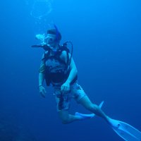 Chris Sergeant(@UnderWaterWorId) 's Twitter Profile Photo