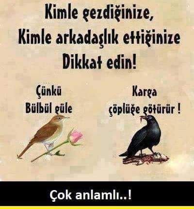 kahramanolu2's profile picture. 