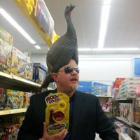 John Donovan Malley (@jdonovanmalley) 's Twitter Profile