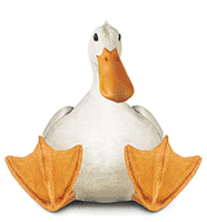 SittinDuck024's profile picture. East-Coast-Raider!! Raider-4-Life!! And-In-The-After-Life!! Fast Cars!! Life-Is-Good!! Known as aka.. Sittin-Duck !! Smack-Me-And-I-Will-Smack-U-Back!!