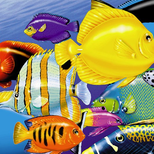 Tropical fish and aquarium sales