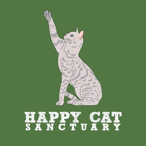 Happy Cat Sanctuary of Long Island, NY specializes in the rescue of cats and kittens from abuse, hoarding, and neglect. Donate today to save a cat's life!