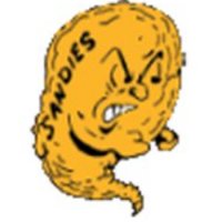 SandieConnect (@sandieconnect) 's Twitter Profile