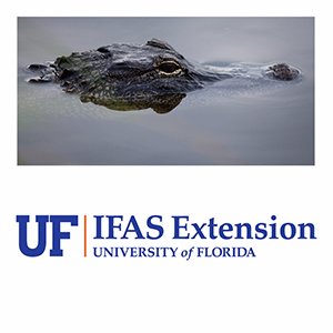 UF IFAS Franklin Extension provides practical education you can trust, to help people, businesses & communities solve problems, and build a better future.