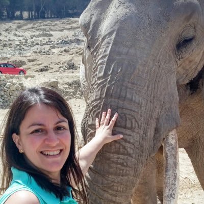 moniberenguer's profile picture. Si tienes un porqué, encontrarás el cómo