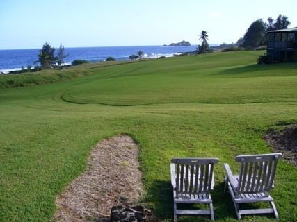 niagara55's profile picture. せめて耳障りのいい音楽を聴いていたい...