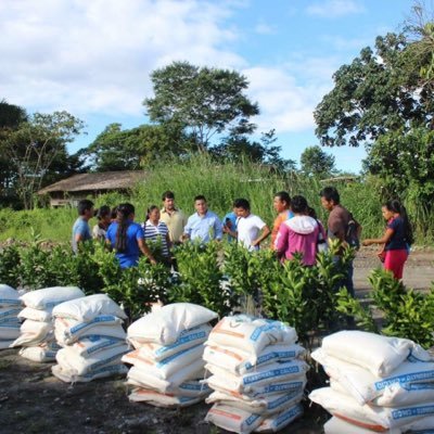 Cuenta de Marco Agroecólogo de Amazonía Pastaza