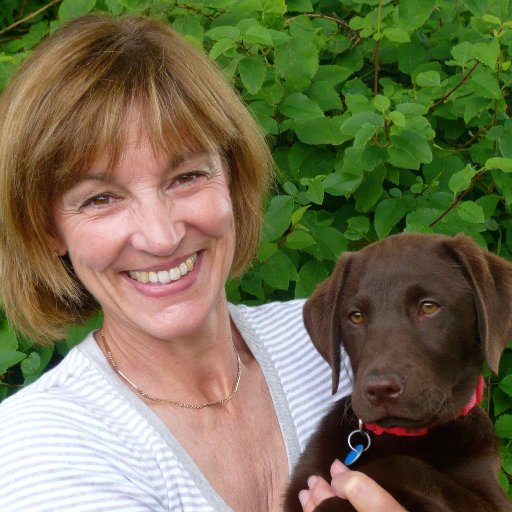 Live in Derbyshire, like all animals especially dogs & horses, cycling & walking. I am an obsessive WI member working on 2 committees & a big fan of The Archers