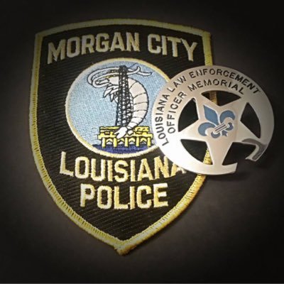 The Morgan City Police Department , in partership with our community, provides impartial, ethical, and professional law enforcement service and protection.