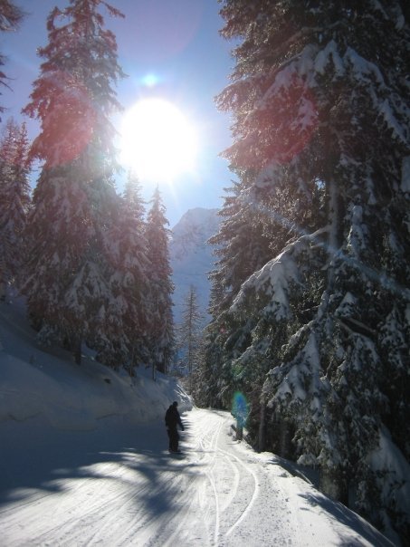 sihanks's profile picture. UK based .Net Developer, MTB loving, Bonsai growing, terrible surfer, shocking snowboarder!