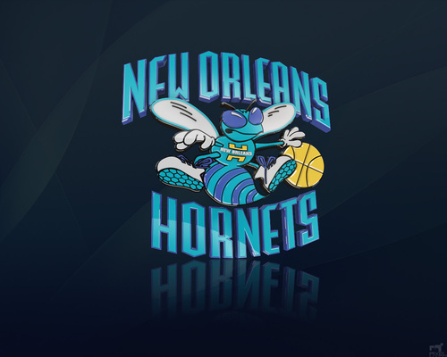 New Orleans Hornets Unofficial Fan Site. Up-to-the-minute updates of your favorite team.