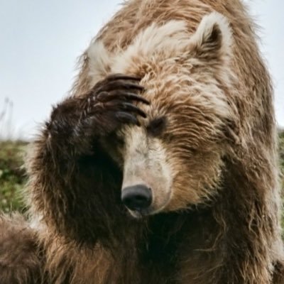 infosec face palmer, mother,hard worker,opinions expressed here are my own, any RT/FAV/follow does not equal an endorsement; but might be something really cool