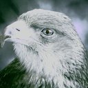 Ethan Mclaughlin - @ETHANMcl1234 - Twitter