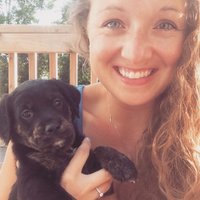 Kelsey Deetz(@KelseyDeetz) 's Twitter Profile Photo