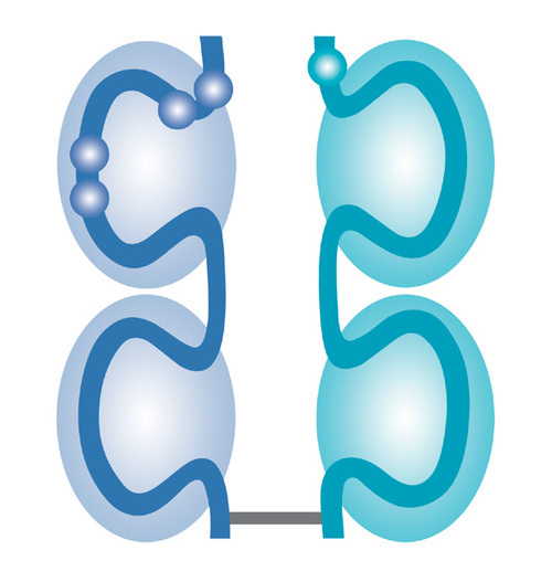 Lucentis_Eye's profile picture. Independent site about anti-VEGF therapy with Ranibizumab (Lucentis) targeting eye diseases