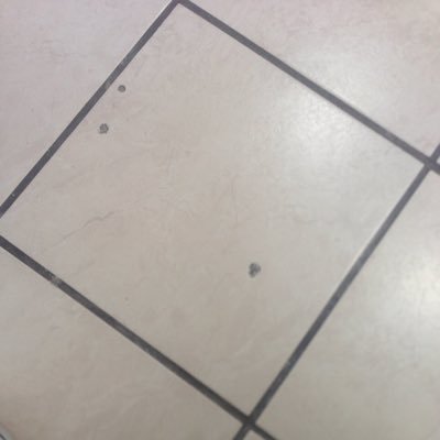 Michaelrodrige2's profile picture. 