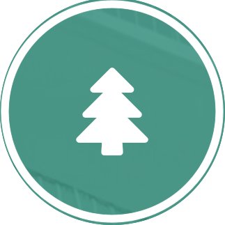 synctree's profile picture. Custom Development | DevOps