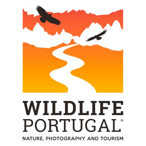 Nature interpretation, birdwatching, wildlife and hide photography, nature tours, hiking and photography tours on the best wilderness areas of Portugal.