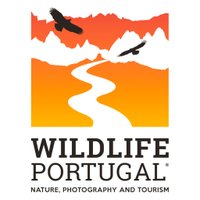 Wildlife Portugal(@wildlifept) 's Twitter Profile Photo