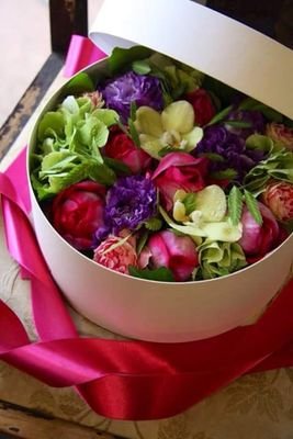 6ZhjFkXGvPMbuiY's profile picture. 