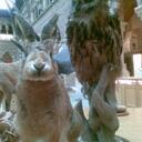 Nancy Louise Wright - @NancyLouWright - Twitter