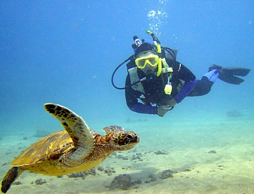 devkan's profile picture. 