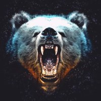 LetsGoGriz(@letsgogriz) 's Twitter Profile Photo