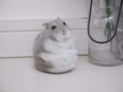 quoc_khuu's profile picture. Be kind to everyone and out-going. I am sporty and being share something. A friend in need is a friend in deeds