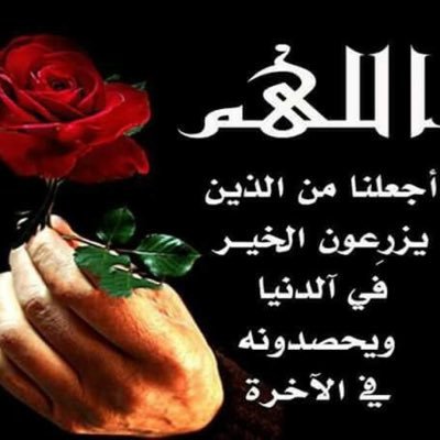 (وَاللّهُ غَالِبٌ عَلَى أَمْرِهِ وَلَـكِنَّ أَكْثَرَ النَّاسِ لاَ يَعْلَمُونَ)💚(يَا قَوْمِ اعْبُدُواْ اللّهَ مَا لَكُم مِّنْ إِلَـهٍ غَيْرُه)🌙🇸🇦