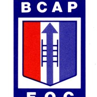 BerksCommunityActPro (@bcactpro) Twitter profile photo
