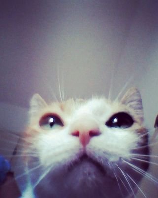 lika88888888's profile picture. Drôle gentil