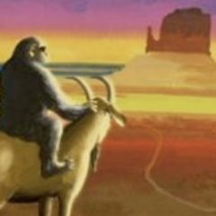 howllllllllllll's profile picture. https://t.co/xrj9mTDP3x