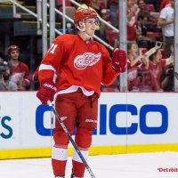 Dylan Larkin(@Dylanlarkin39) 's Twitter Profileg