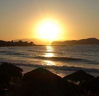 thomlean1's profile picture. 