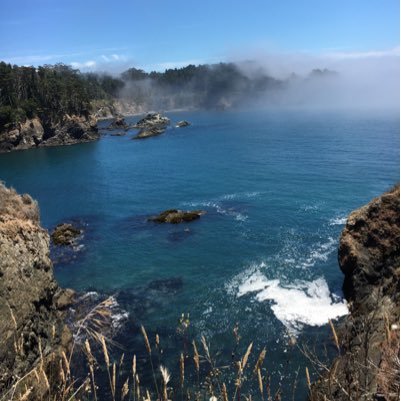 LularoeBro's profile picture. Helping my wife with her Lularoe business.