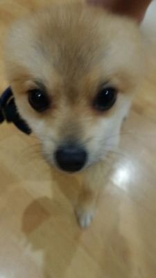 Iale1703's profile picture. 