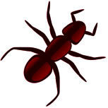 antshillpub's profile picture. Our mission is to provide complete and professional publishing services to relatively unknown authors for an affordable price