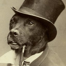 bensoncodetips's profile picture. I am a Microsoft MVP (self proclaimed), I have brain-dumped so many Microsoft exams that I am now highly sought after. I know all of the cool tech words,