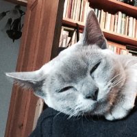 Flossie ❤️ Kringle (@flospots) 's Twitter Profile