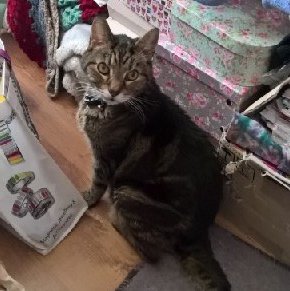 MandyPaineMBE's profile picture. Am 55 got my MBE 2012 For my work with Palliative care,I've End stage COPD +few other conditions list too long, life so precious, but Dying Matters to everyone.