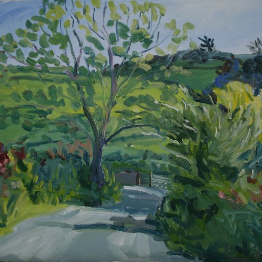 Anastasia paints her fourfold experience of the landscape en plein air.She responds to this experience intuitively by her use of colour and mark making.