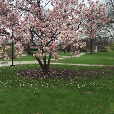 wayll10's profile picture. الصمت افضل من الكلام