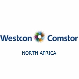 Westcon Group est un distributeur mondial à valeur ajoutée de solutions de référence dans le domaine IT.