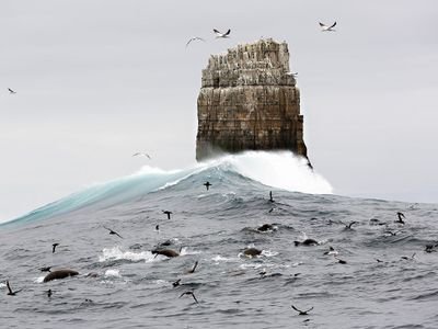 smartlife77777's profile picture. A better life with god