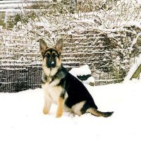 Simon Trevains (@simon_trevains) 's Twitter Profile