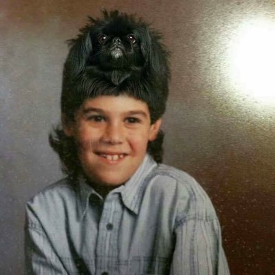 OTownPyle's profile picture. #TitanUp