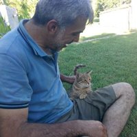 harbi arap (@harbiarap) 's Twitter Profile